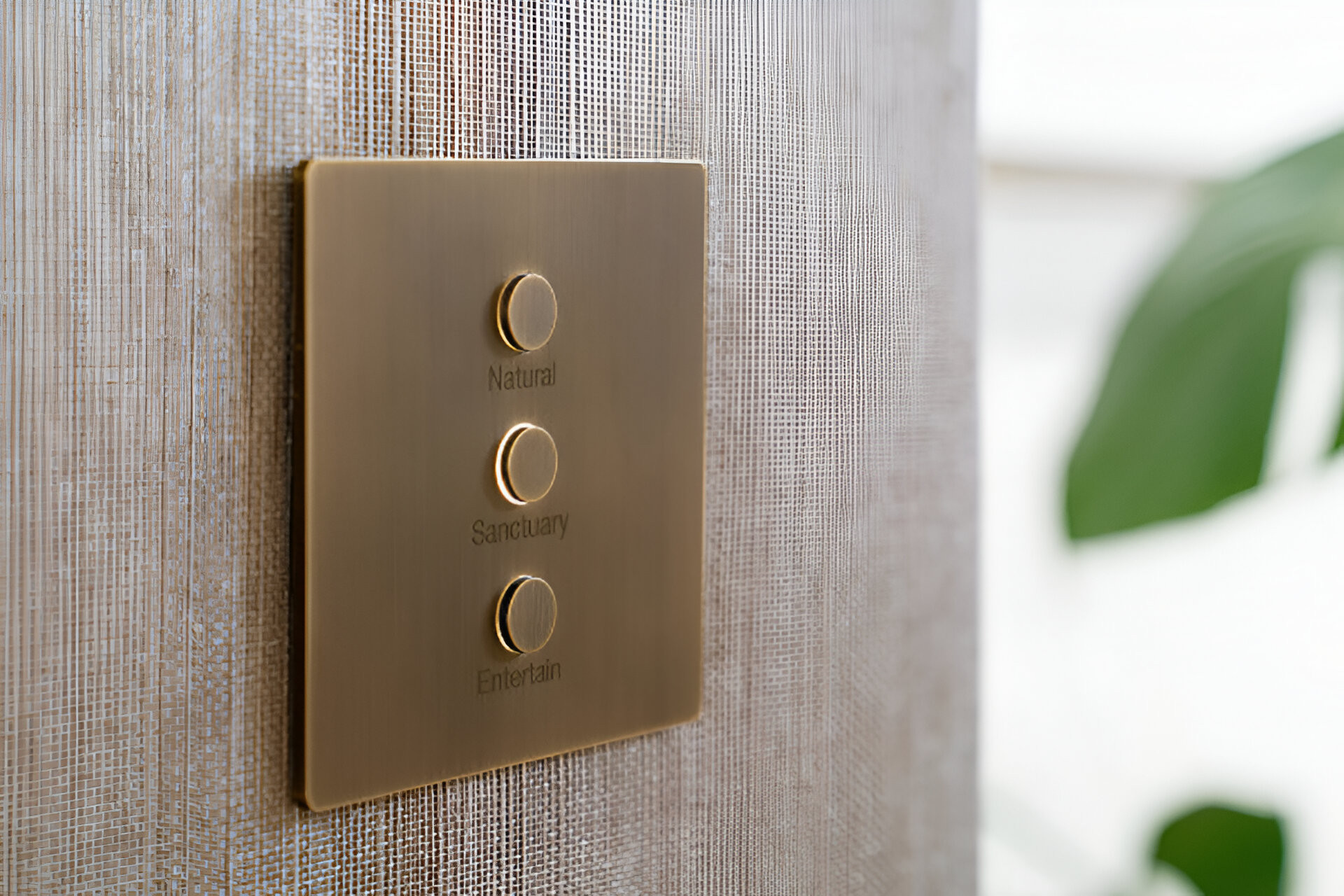 Descripción de la imagen